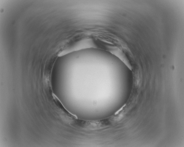 X0000070390329200606301952