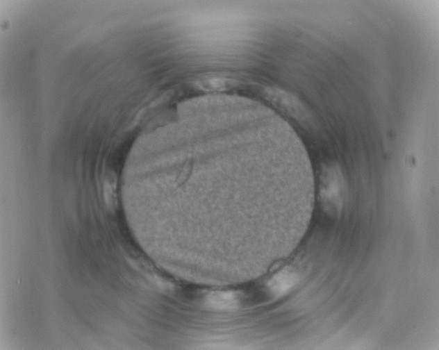 X0000070390332200606301952