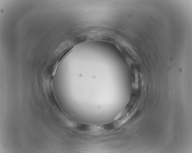 X0000070390333200606301952