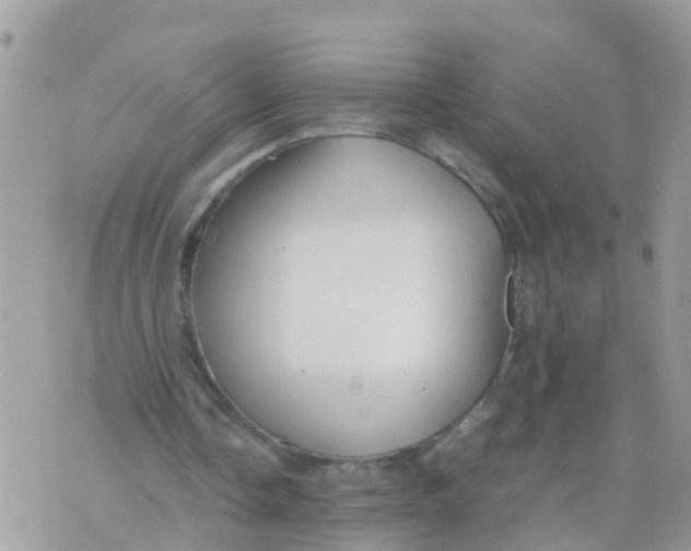 X0000070390338200606301952