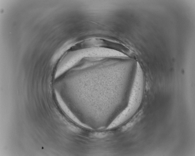 X0000070390341200606301952