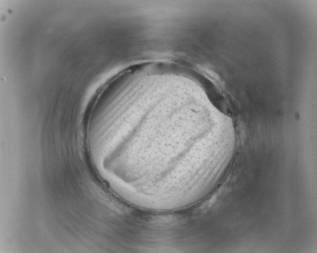 X0000070390342200606301952