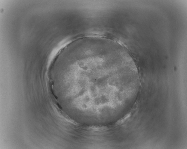 X0000070390343200606301952