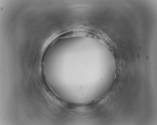 X0000070390344200606301952