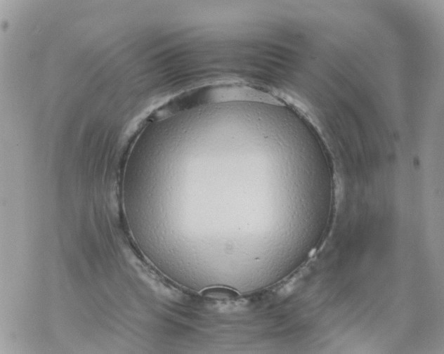 X0000070390345200606301952