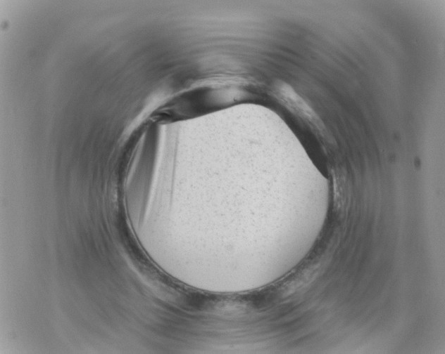 X0000070390348200606301952