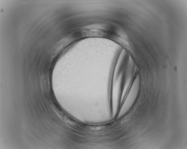 X0000070390349200606301952