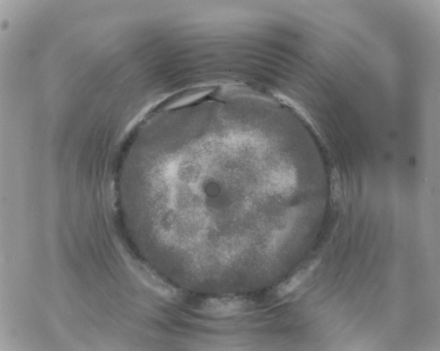 X0000070390351200606301952