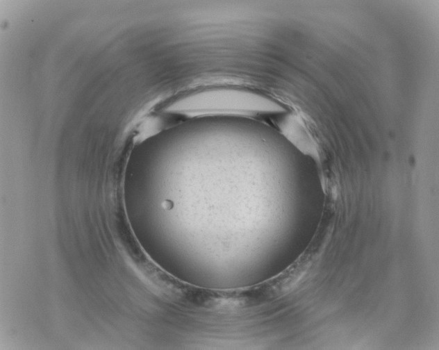 X0000070390352200606301952