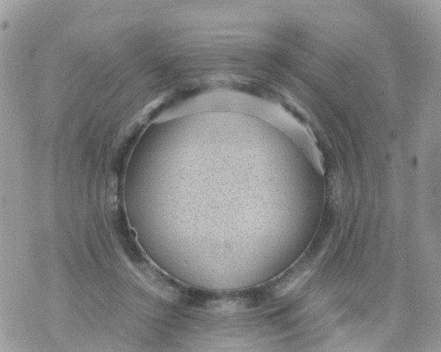 X0000070390356200606301952