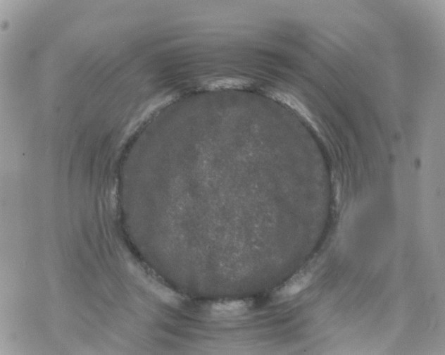 X0000070390357200606301952