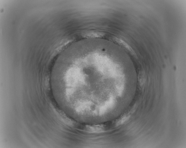 X0000070390359200606301952