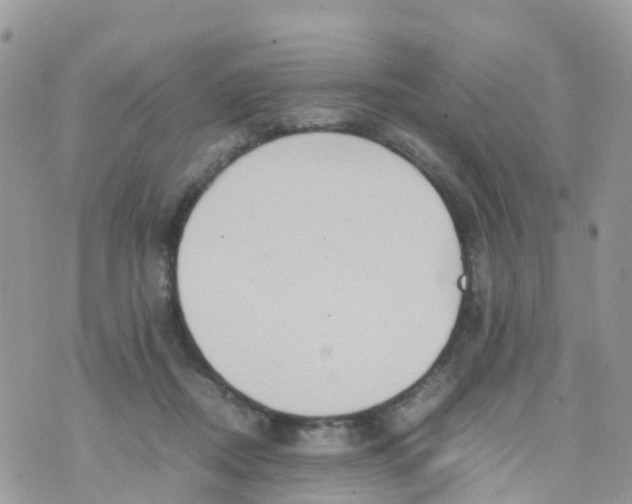 X0000070390362200606301952