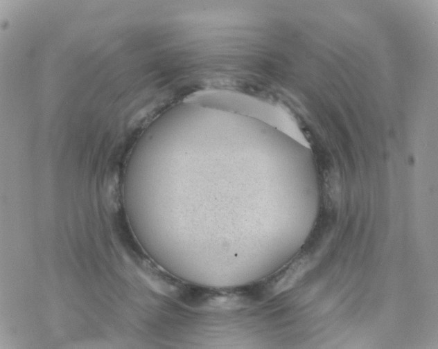 X0000070390364200606301952