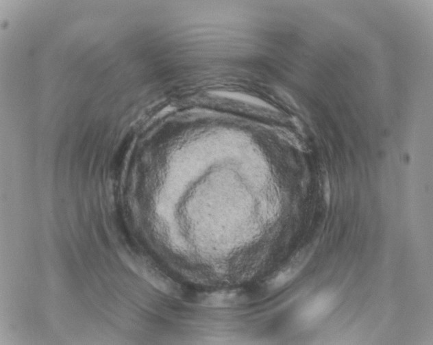 X0000070390366200606301952