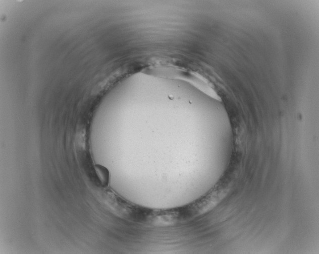 X0000070390368200606301952