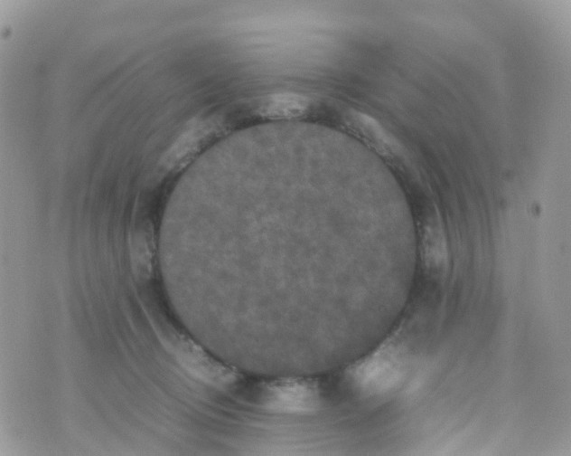 X0000070390370200606301952