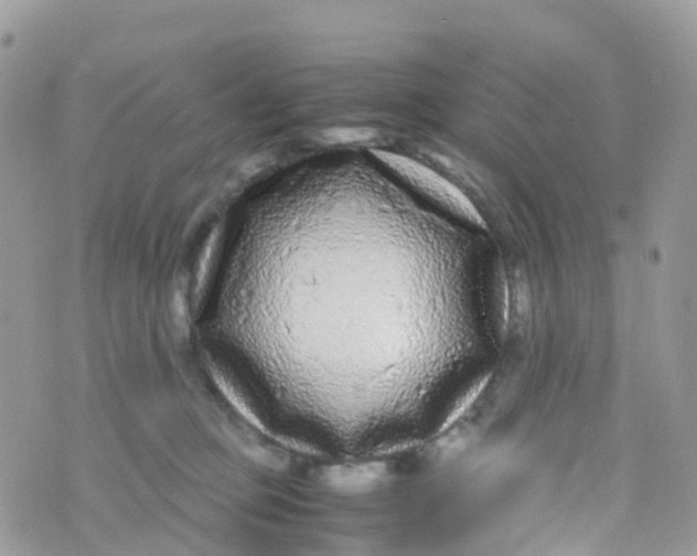 X0000070390373200606301952