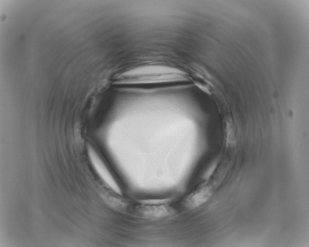 X0000070390377200606301952