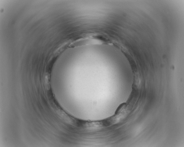 X0000070390378200606301952