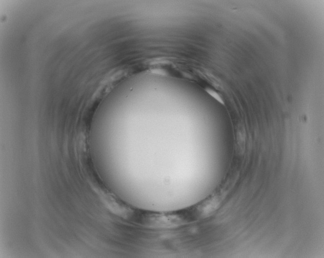 X0000070390379200606301952