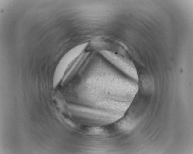 X0000070390380200606301952