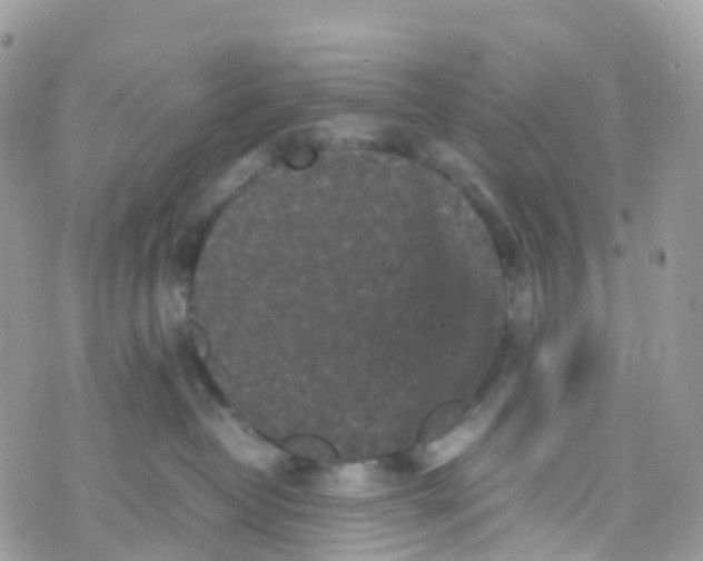 X0000070390382200606301952