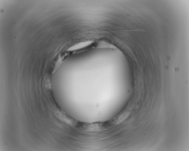 X0000070390384200606301952