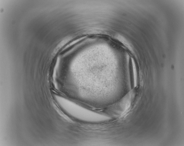 X0000070390389200606301951