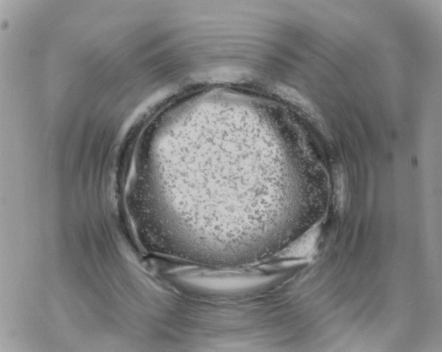 X0000070390392200606301951