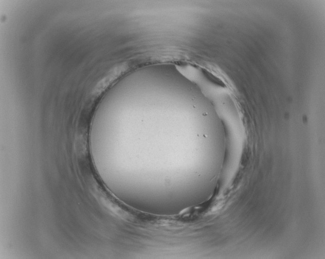 X0000070390393200606301951