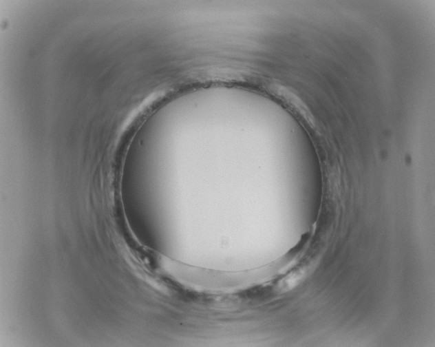 X0000070390395200606301951