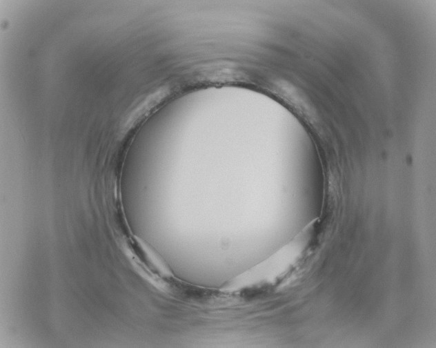 X0000070390397200606301951