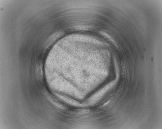 X0000070390398200606301951