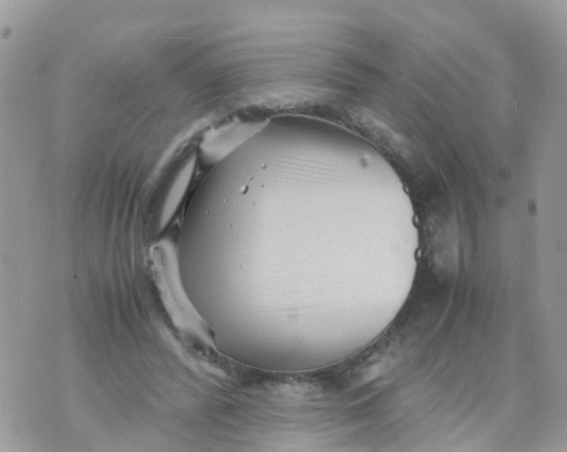 X0000070390400200606301951