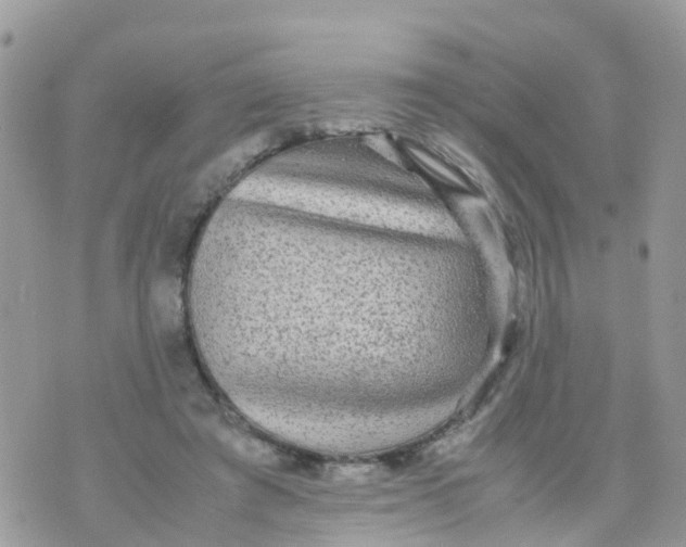 X0000070390401200606301951