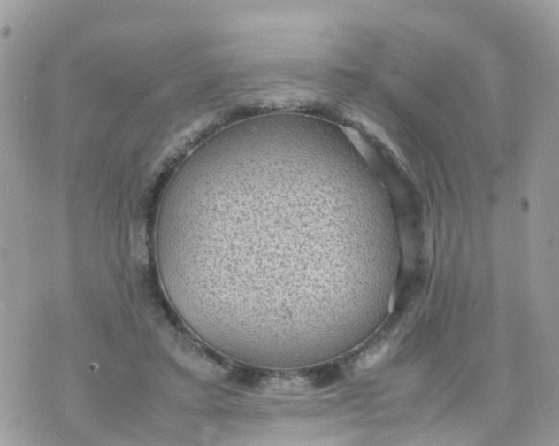 X0000070390403200606301951