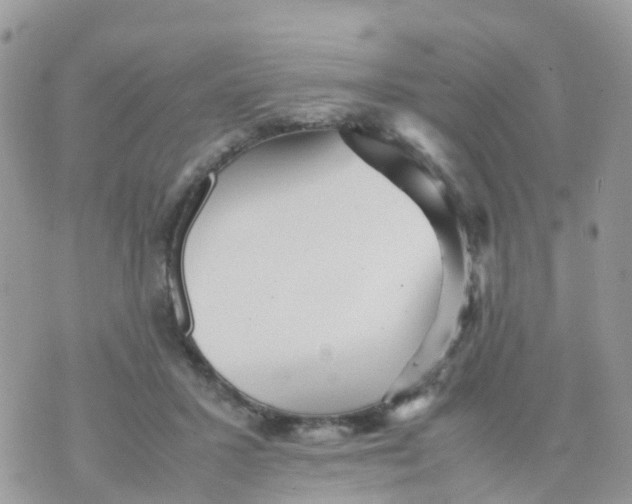 X0000070390407200606301951