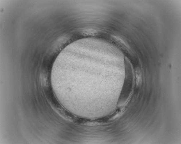 X0000070390408200606301951