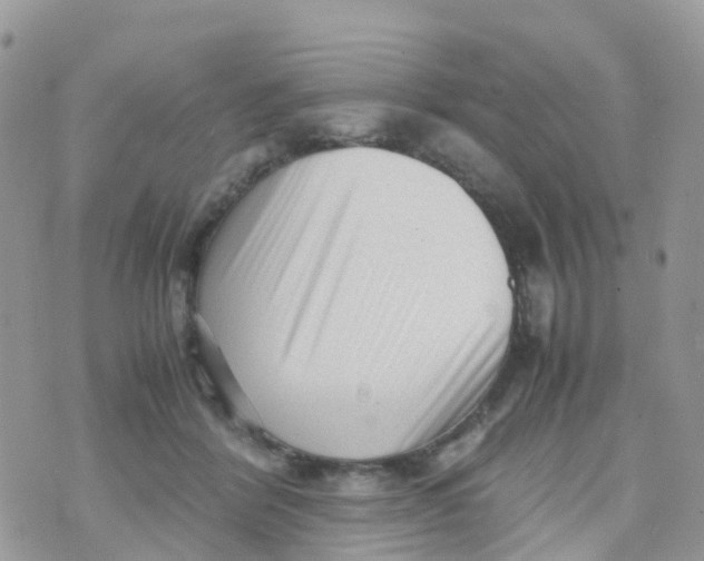 X0000070390412200606301951