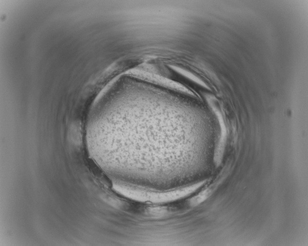 X0000070390413200606301951