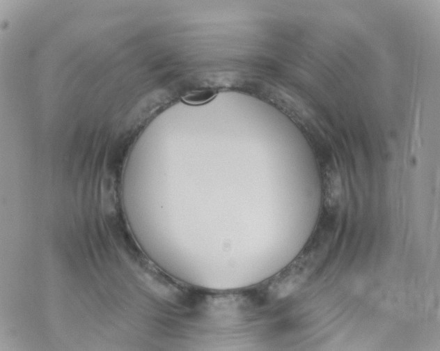 X0000070390414200606301951