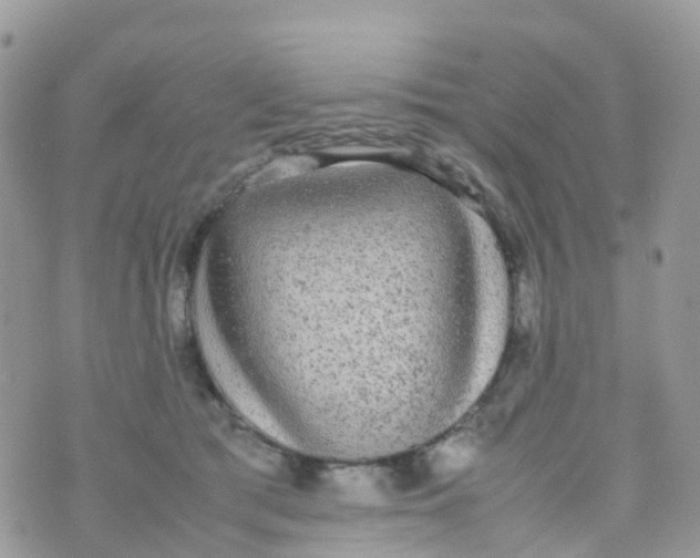 X0000070390417200606301951