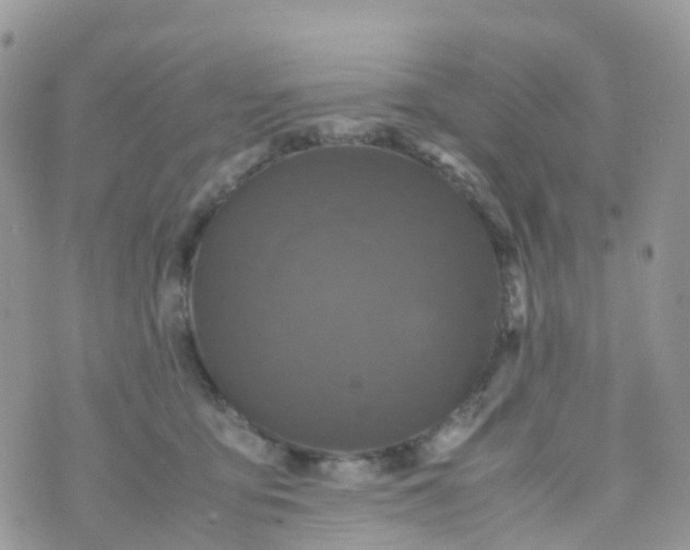 X0000070390419200606301951