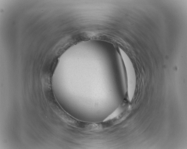 X0000070390421200606301951