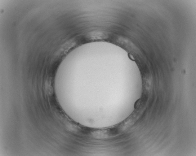 X0000070390422200606301951