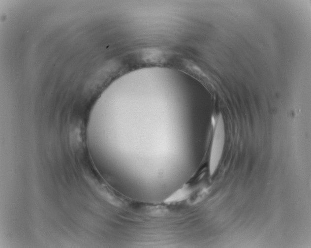 X0000070390424200606301951