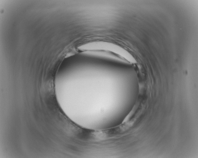 X0000070390425200606301951