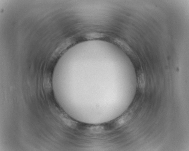 X0000070390426200606301951