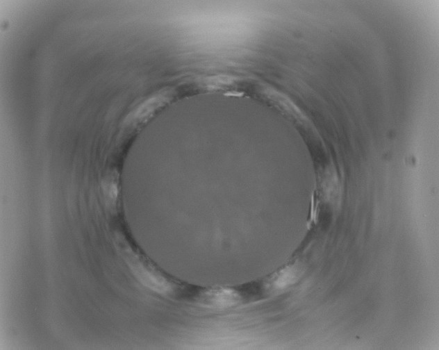 X0000070390427200606301951